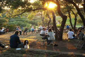 Driftwood winery tours