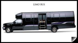 Party Bus Rental Service 25 Person Austin limo charter shuttle
