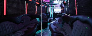 Party Bus Rental Service 45 Person Austin wedding brewery winery tours and tasting, pub crawl