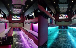 22 passenger party bus