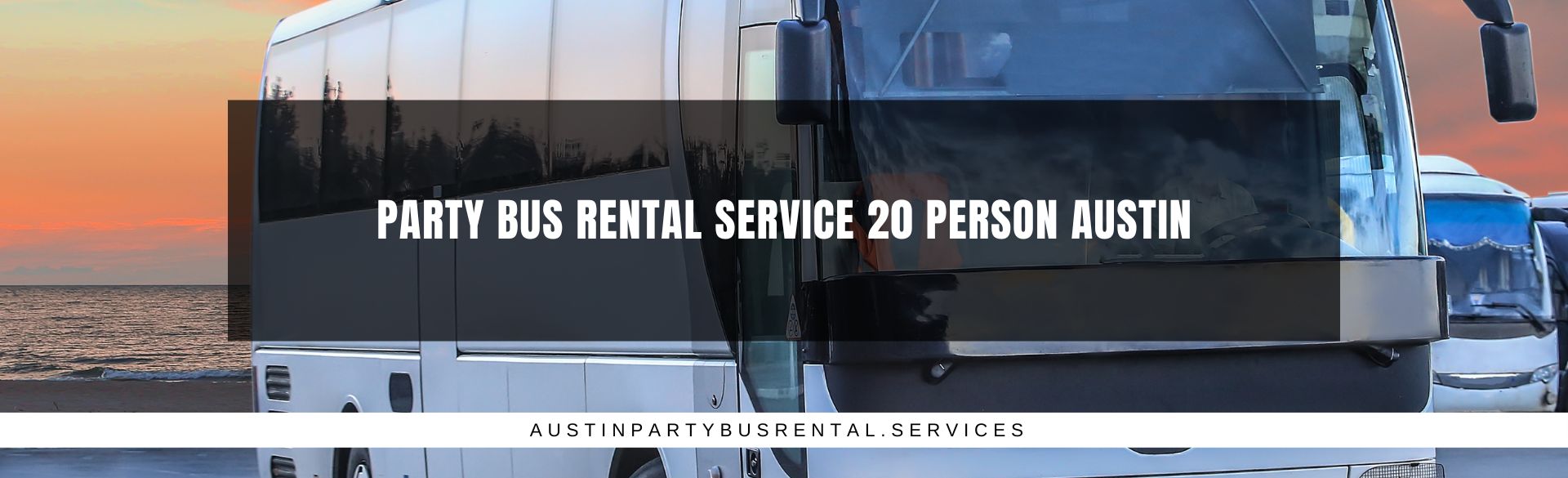 Party Bus Rental Service 20 Person Austin