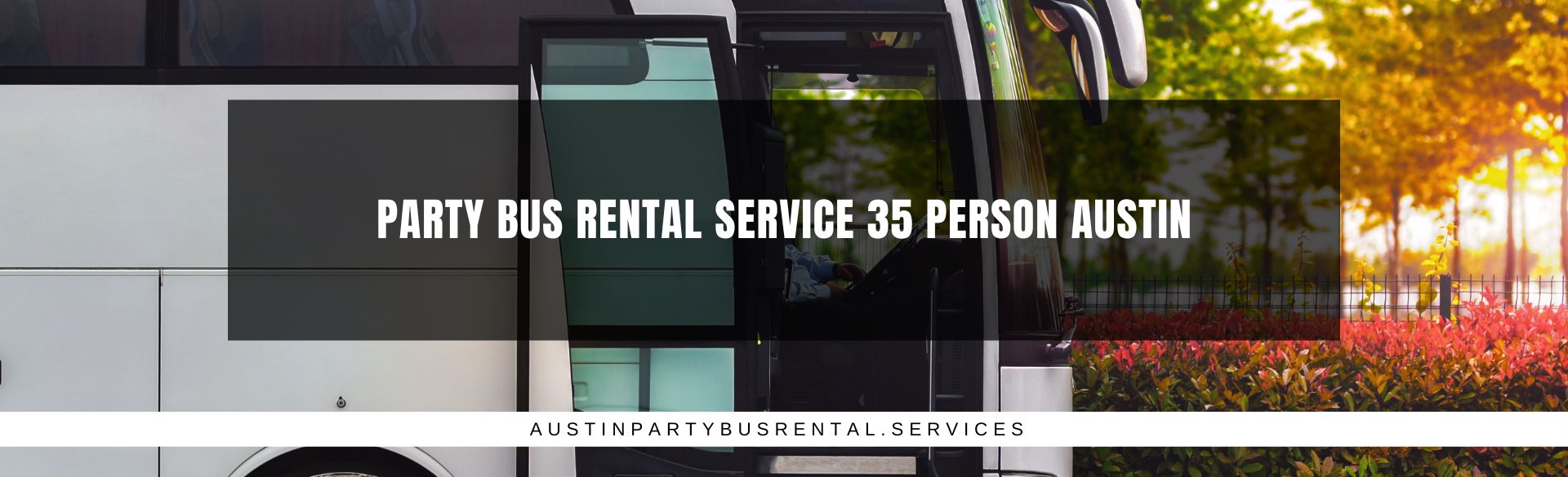 Party Bus Rental Service 35 Person Austin