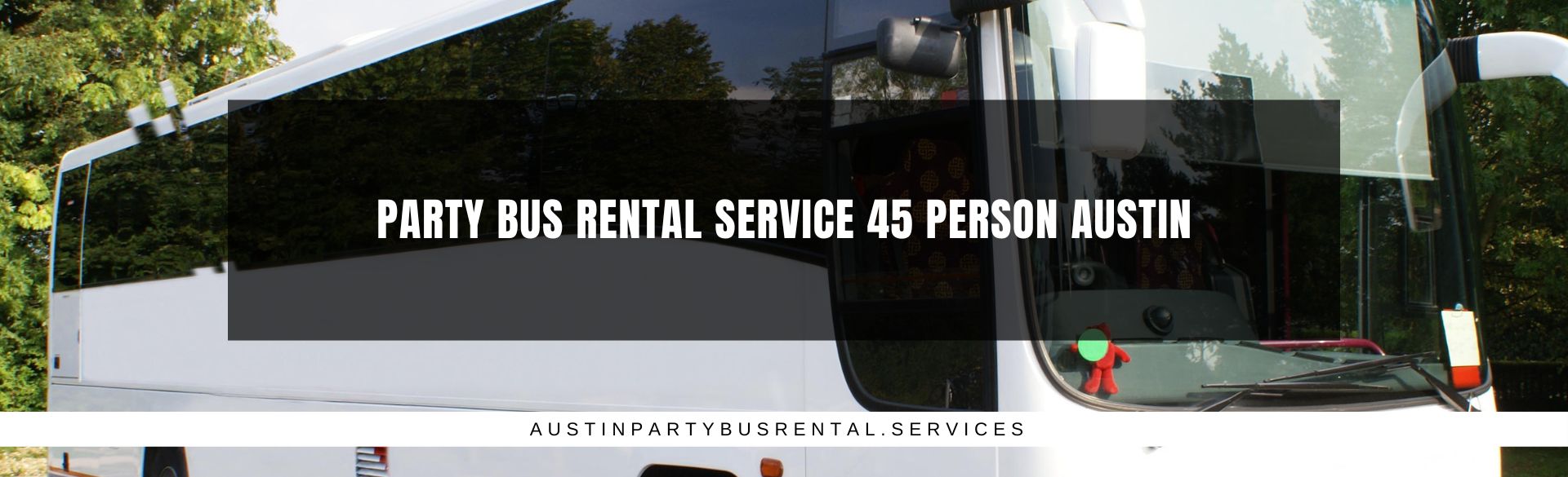 Party Bus Rental Service 45 Person Austin