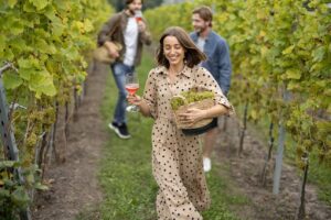 Luxury Wine Tour Transportation in Lometa​