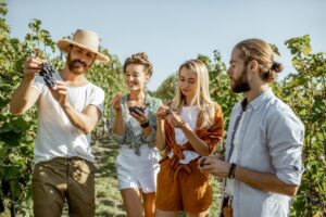 new braunfels winery tours